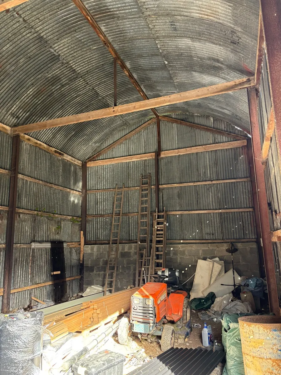 Large shed free to go - Image 4