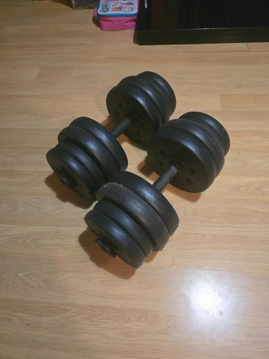 Dumbbells 2×15kg