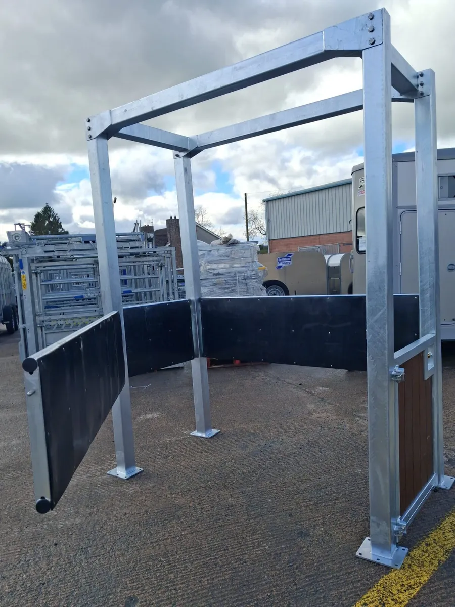 PROFESSIONAL HORSE INSPECTION STOCKS - Image 2