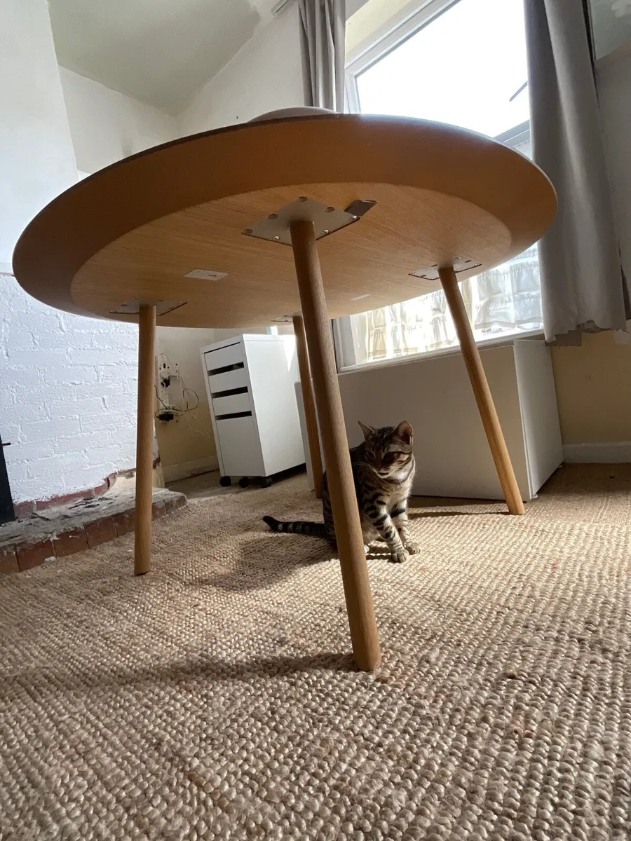 Maarten table, 120 cm, oval, matt oak Viccarbe - Image 4