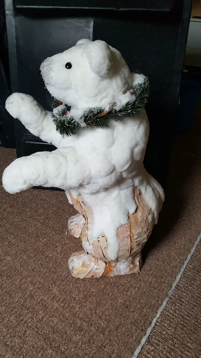 Polar bears - Image 1