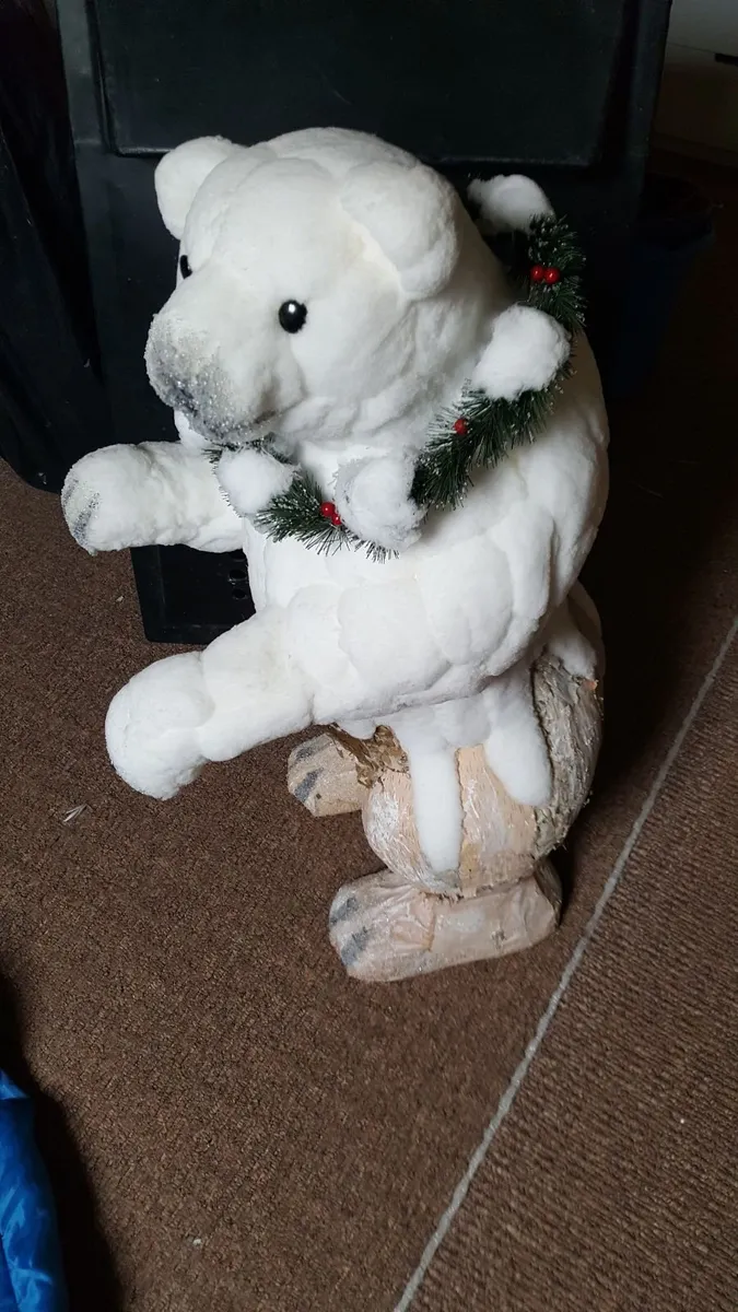 Polar bears - Image 4