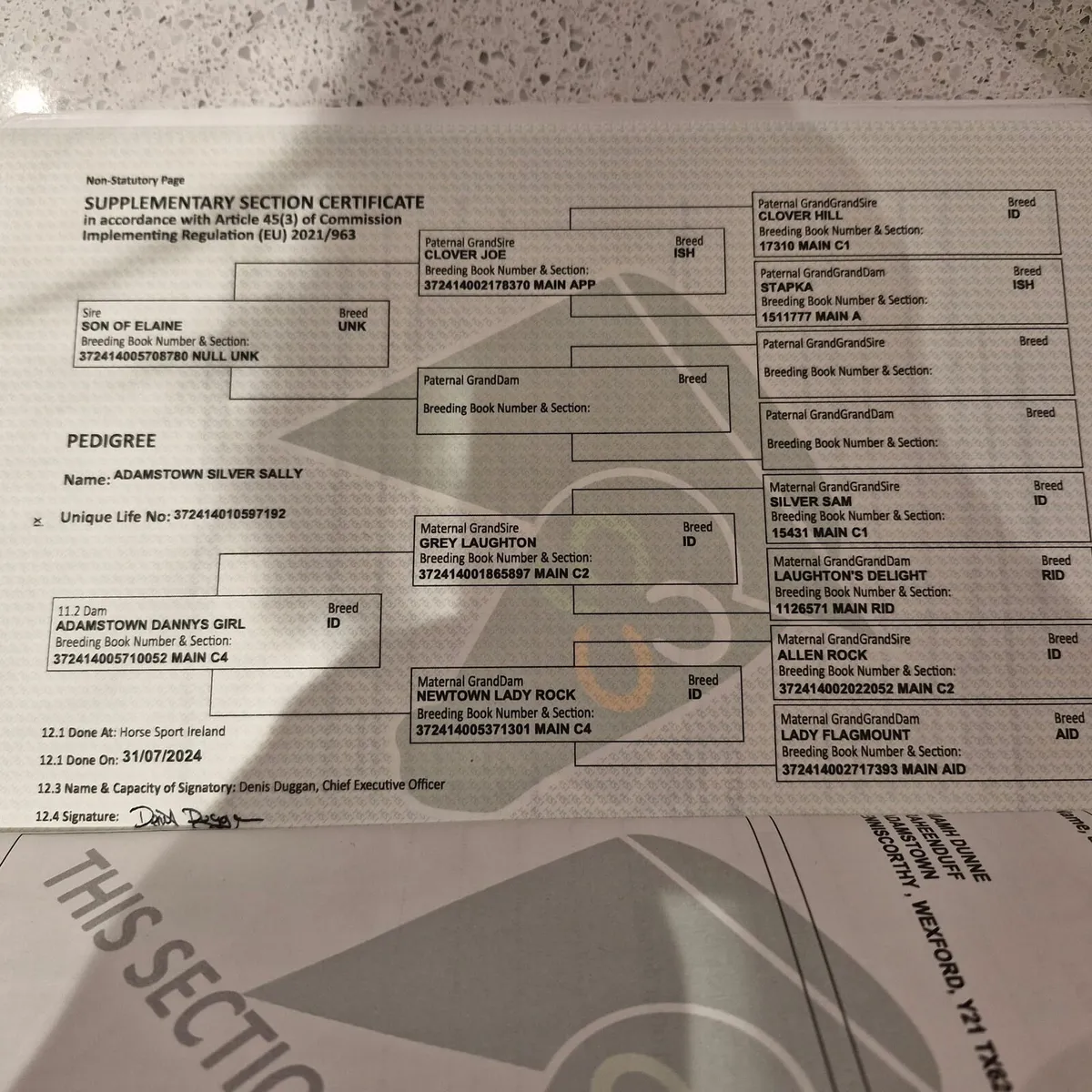 Hunter/ All Rounder - Image 4