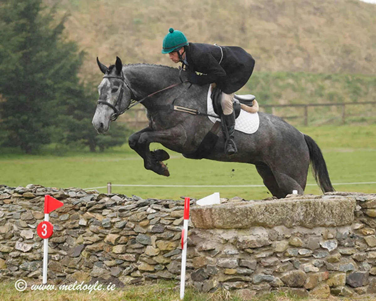 Hunter/ All Rounder - Image 1