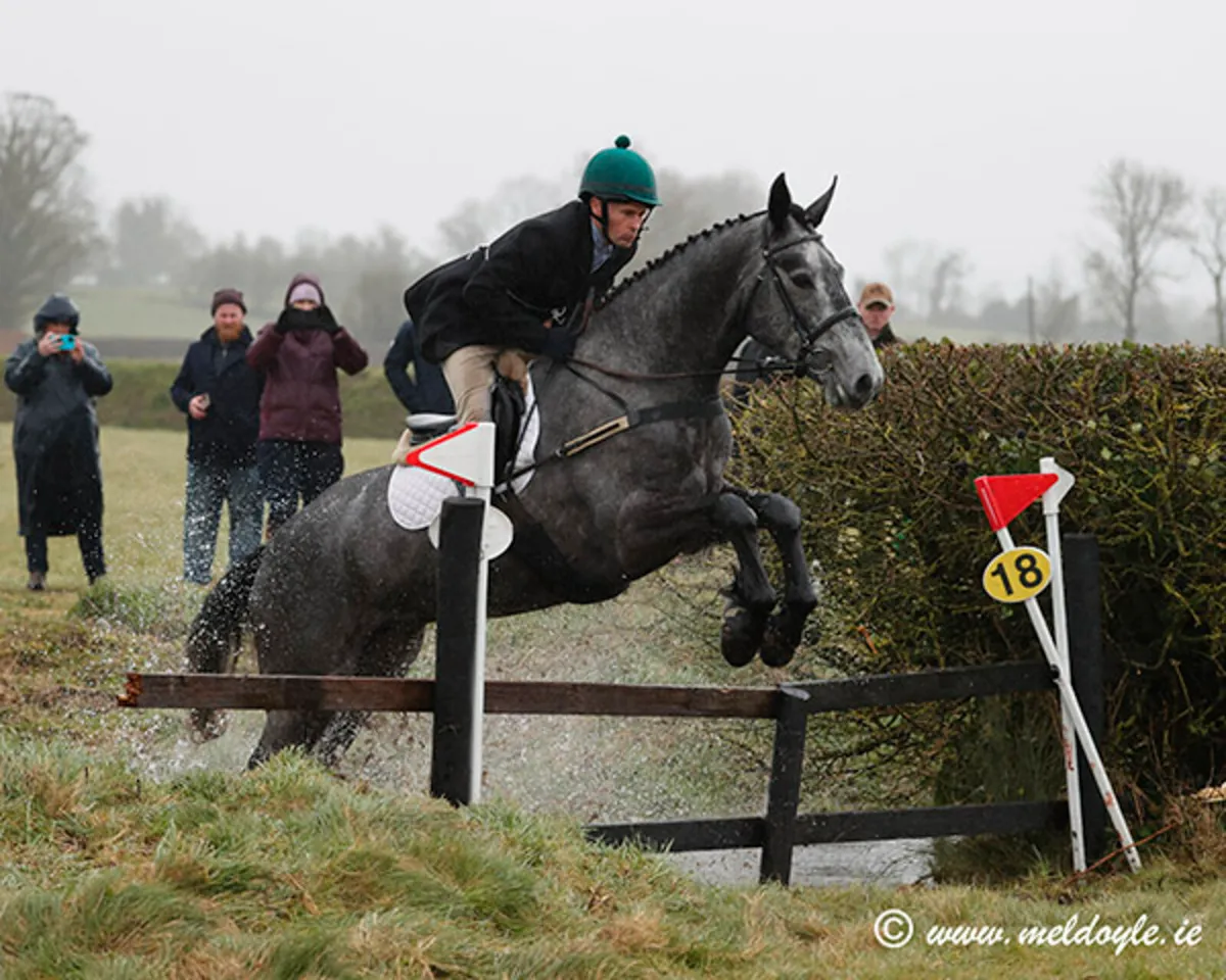 Hunter/ All Rounder - Image 2