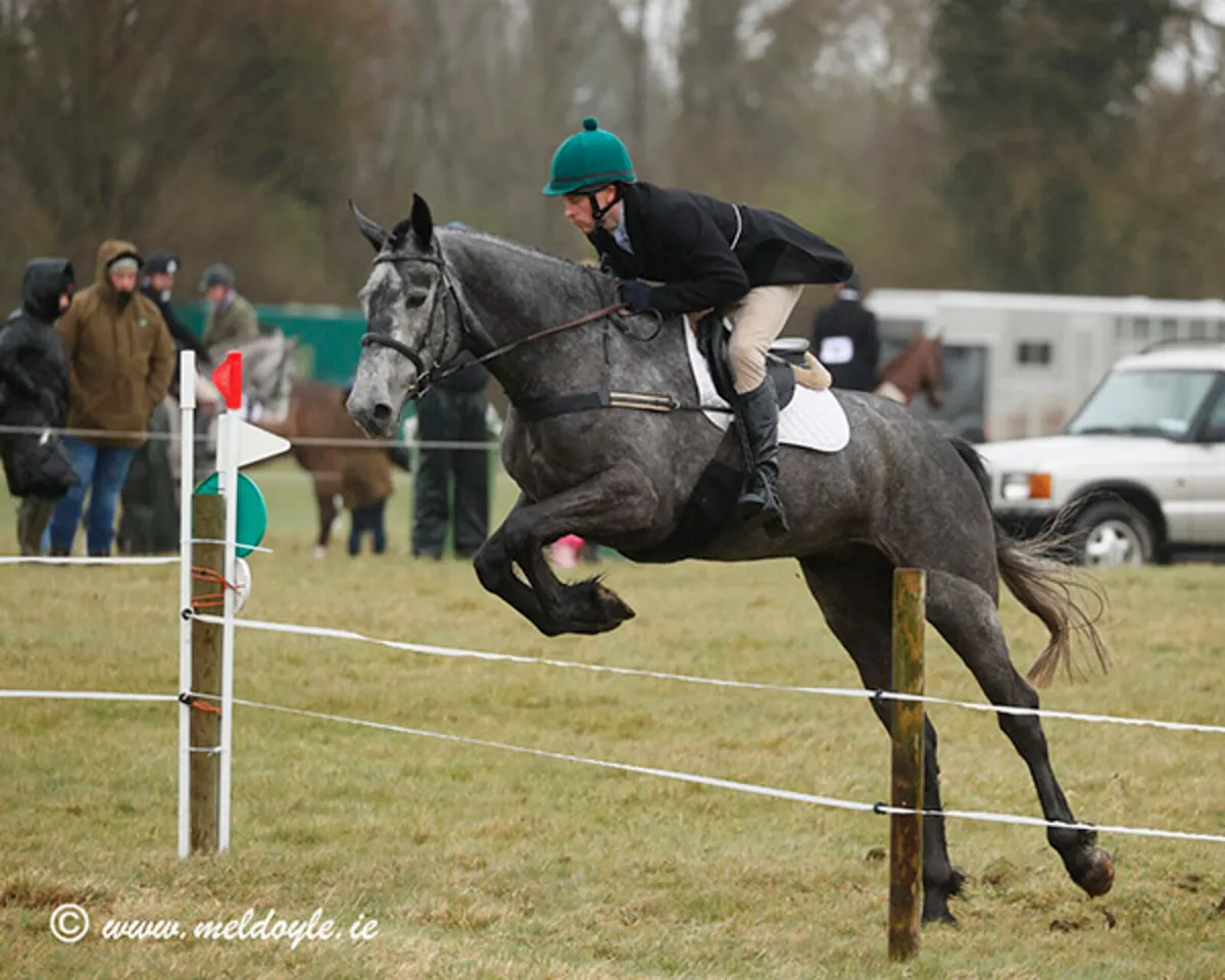 Hunter/ All Rounder - Image 3