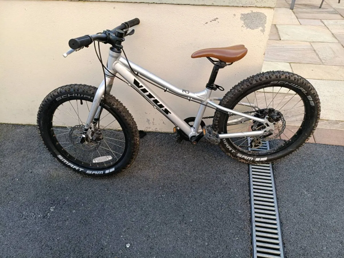 Kids 20" vitus - Image 1