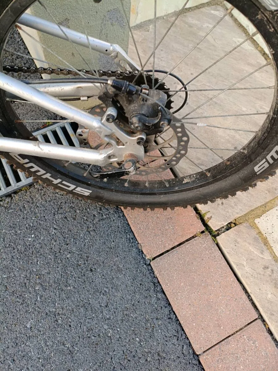 Kids 20" vitus - Image 3