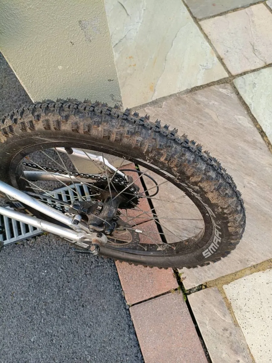 Kids 20" vitus - Image 4