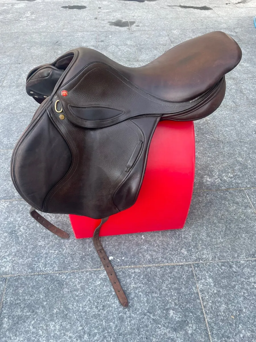 Albion Saddle - Image 4