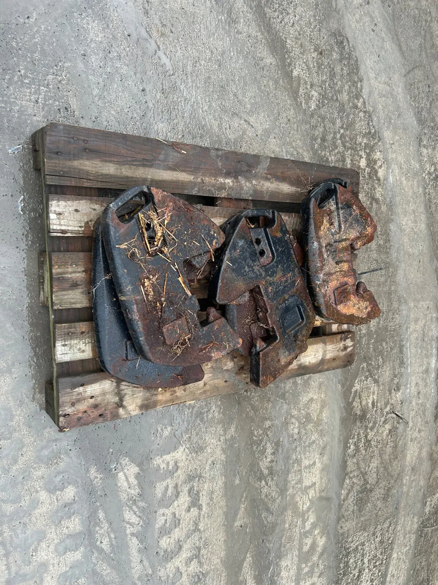 Case JXU/CX Front Weights - Image 2