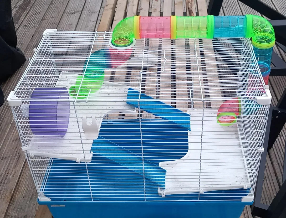 Hamster cage - Image 1