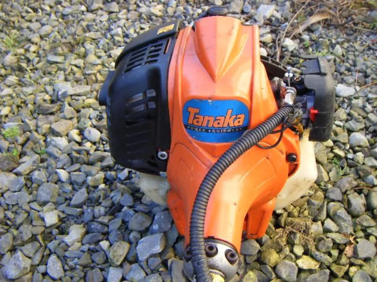 Tanaka Strimmer - Image 2