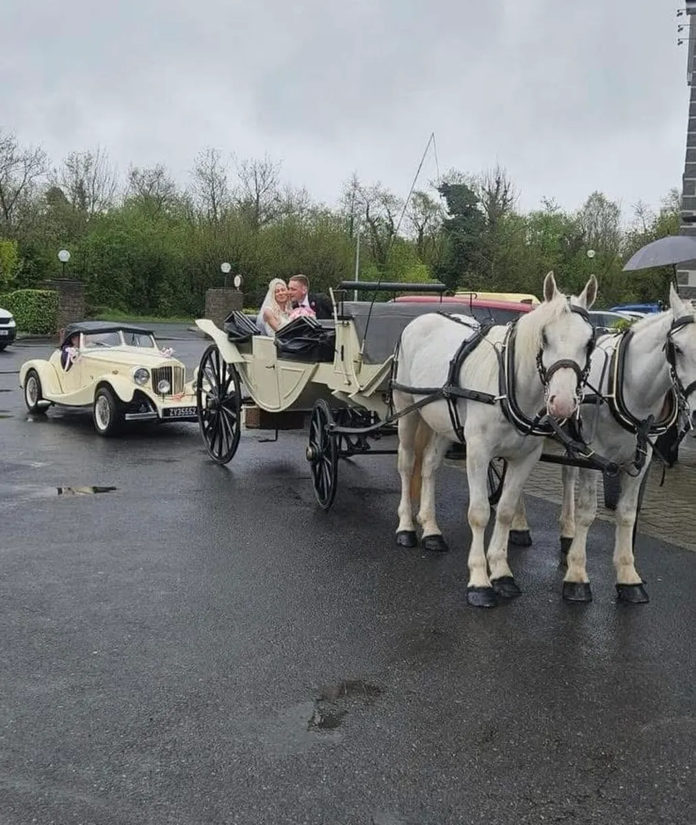 Wedding Car For Hire and all occasions - Image 2