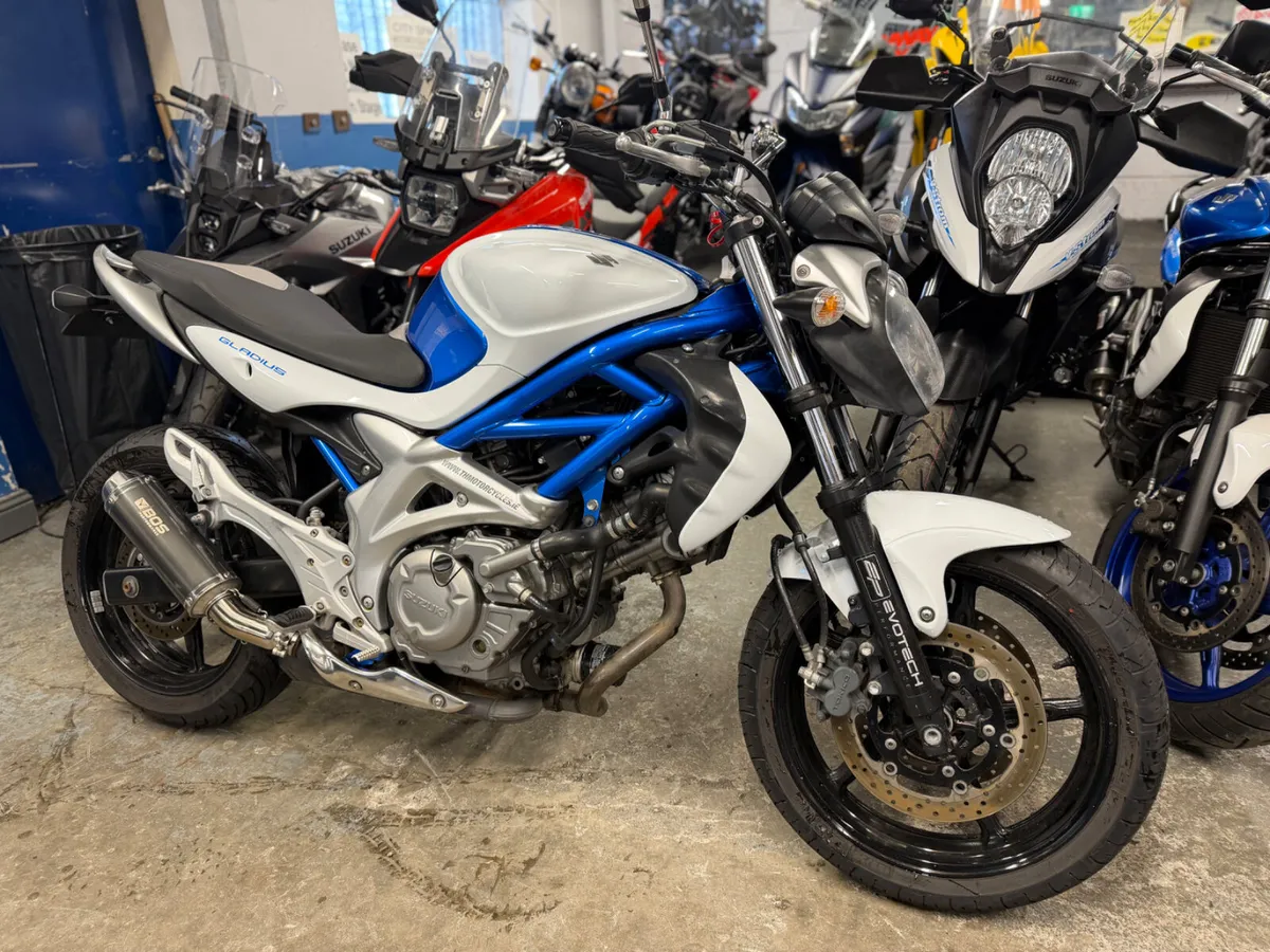 2009 Suzuki Gladius 650 - Image 3