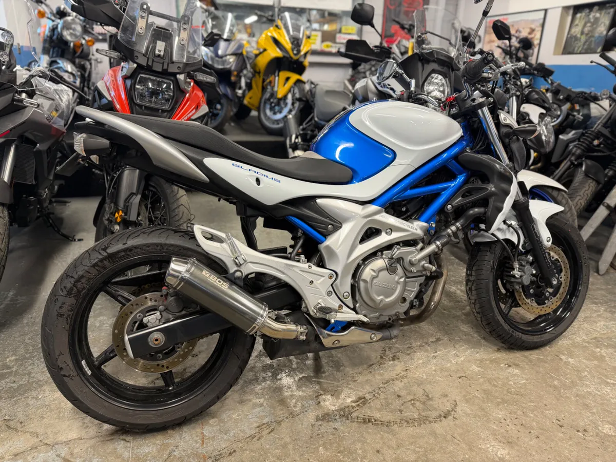 2009 Suzuki Gladius 650 - Image 2