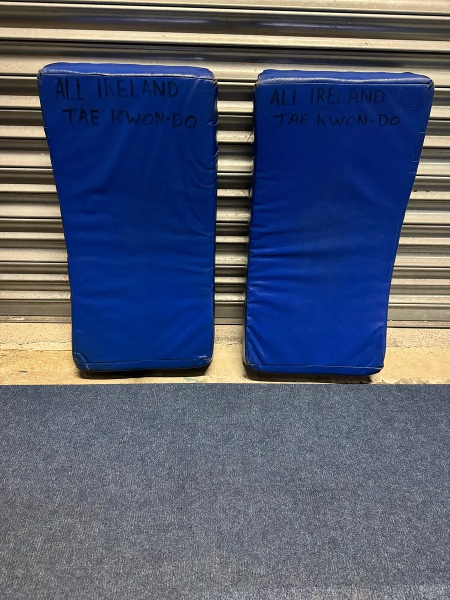 Martial Arts Kick Shield - Image 1