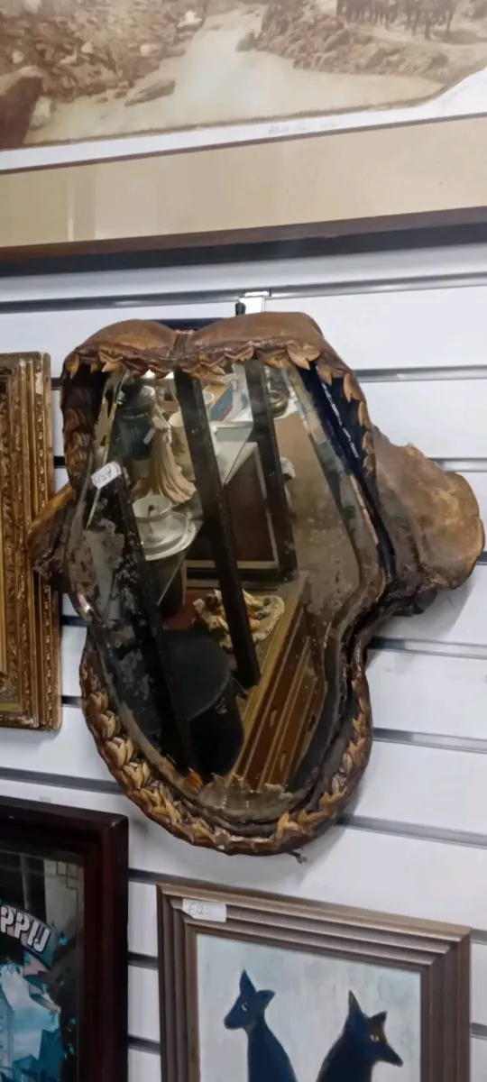 Victorian Taxidermy Sharks Teeth Wall Mirror