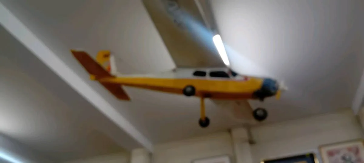Large Original Motorised Model Airplane - Image 2