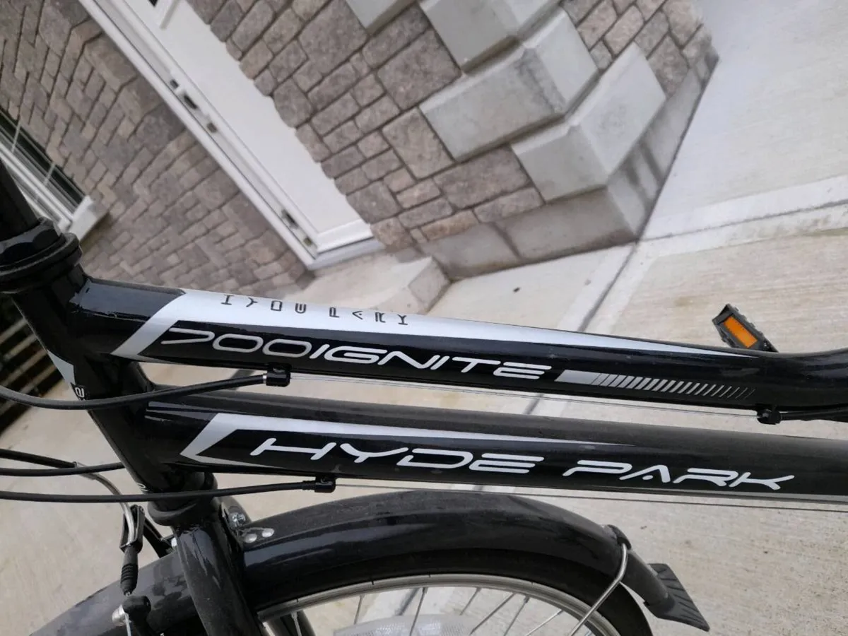 Ladies Bike - Image 3