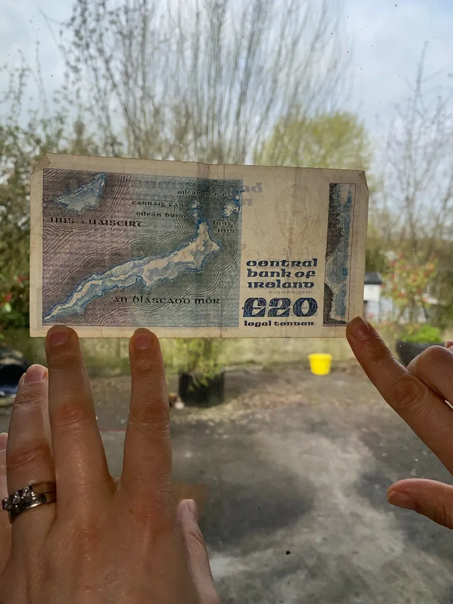 Old Irish 20 pound note made in 06/02/89 - Image 2