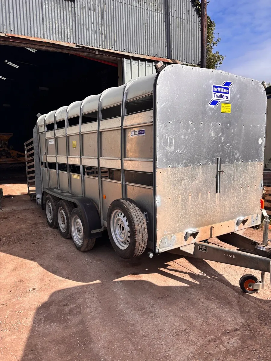 Ifor Williams cattle box - Image 1