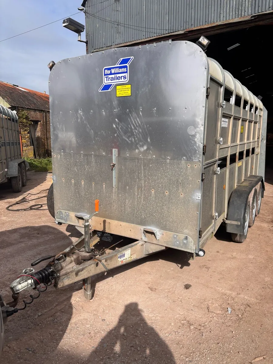 Ifor Williams cattle box - Image 2