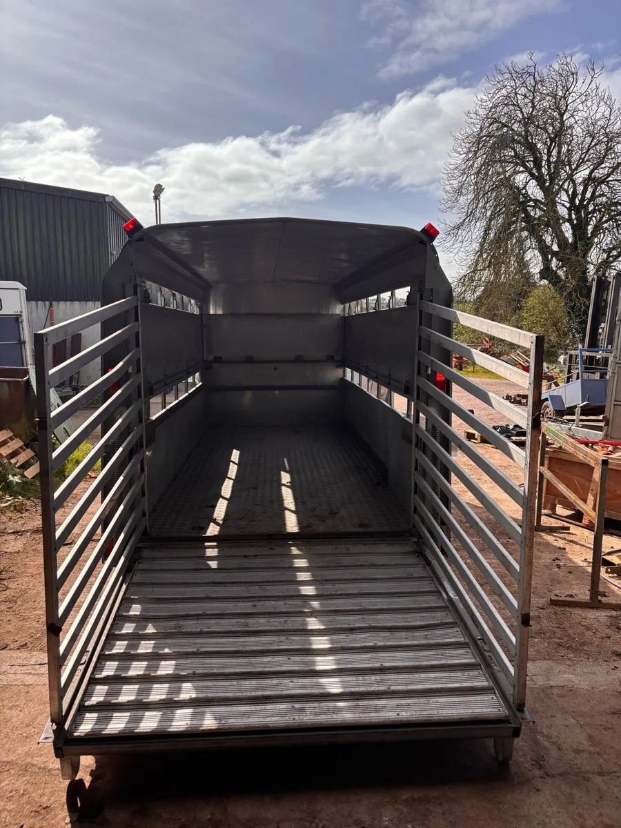 Ifor Williams cattle box - Image 4