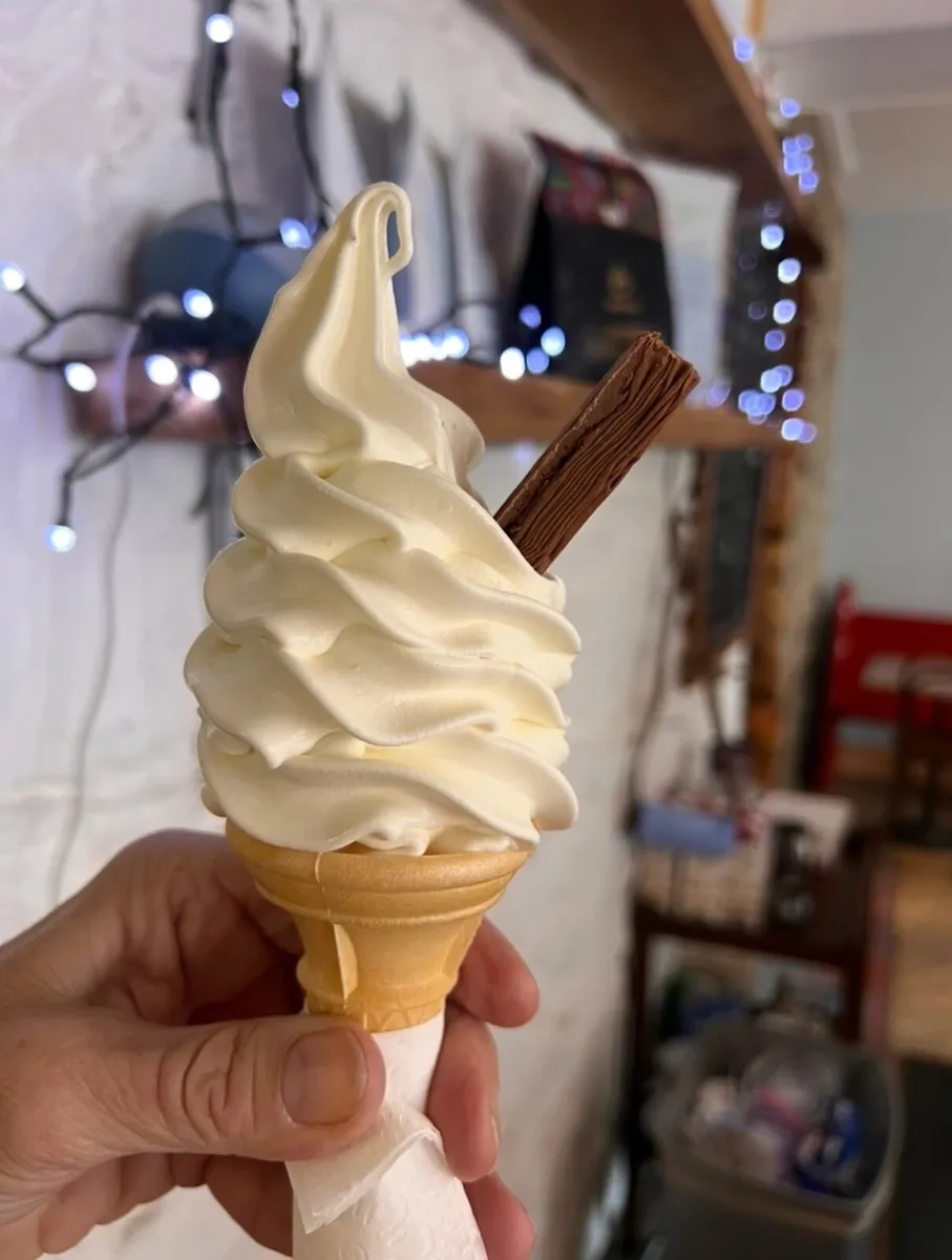 Nissei Ice Cream & Milk Shake Combi machine - Image 4