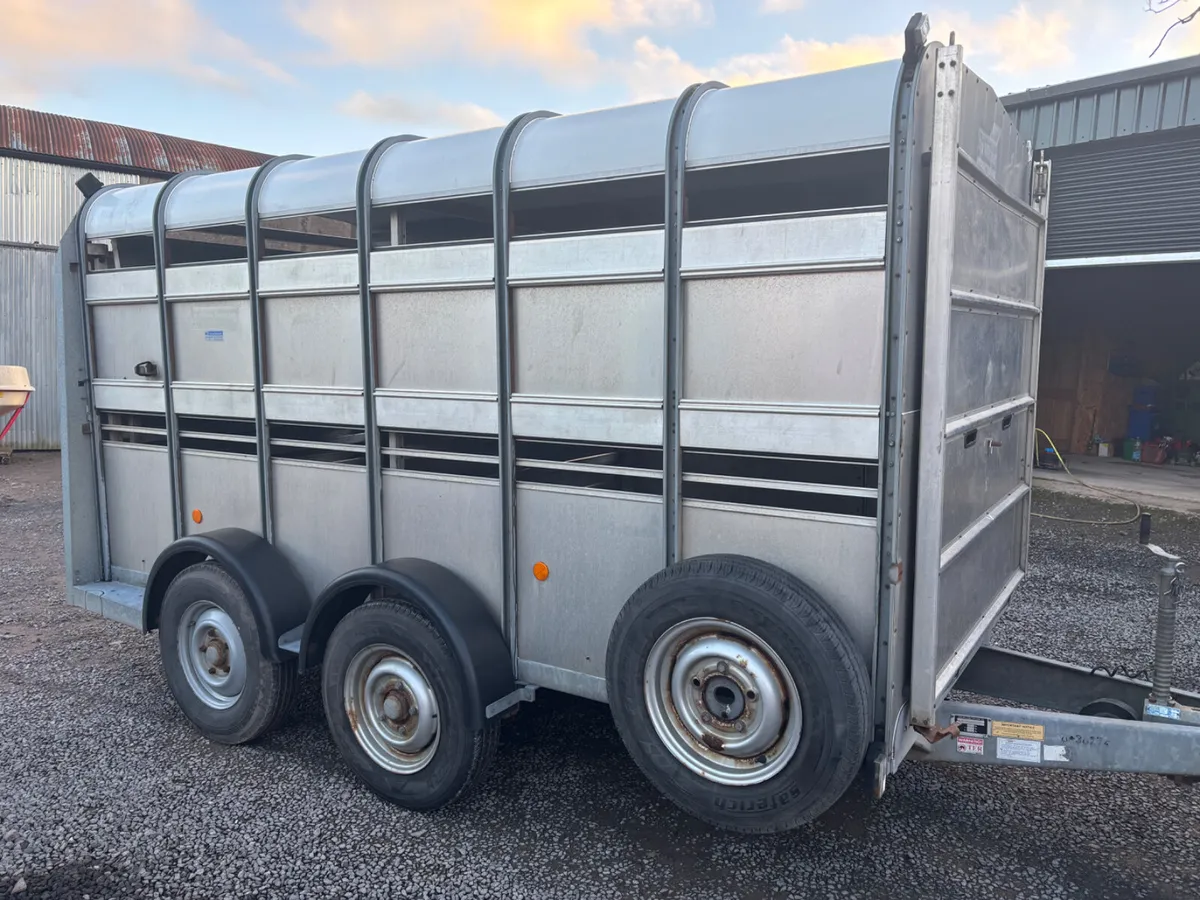 Ifor williams 12ft x 5ft 10”cattle sheep trailer - Image 1
