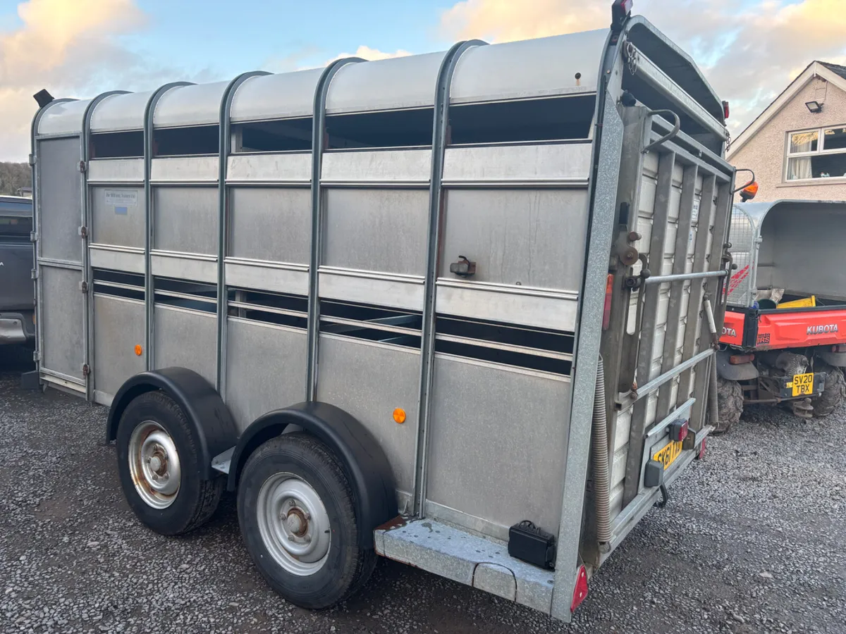 Ifor williams 12ft x 5ft 10”cattle sheep trailer - Image 2