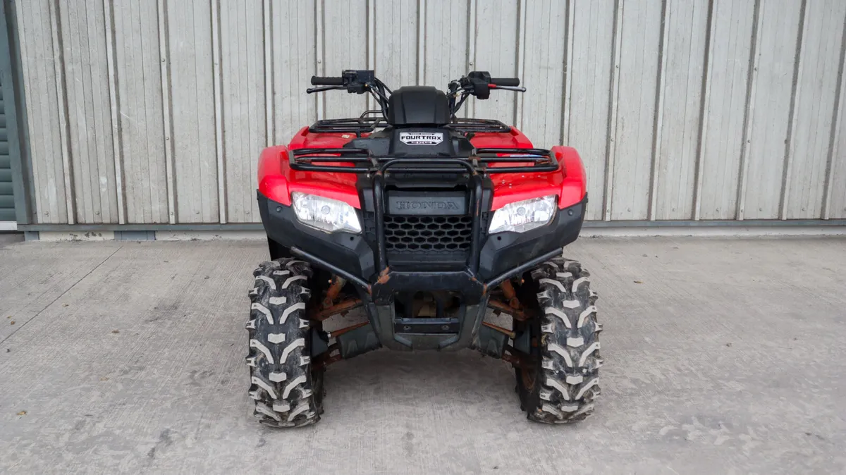 2019 Honda TRX 420FA6 - Image 3