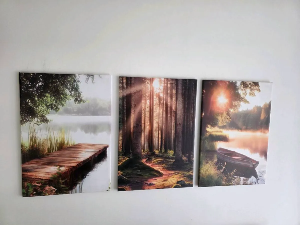 3 canvas 46x66cm each - Image 2
