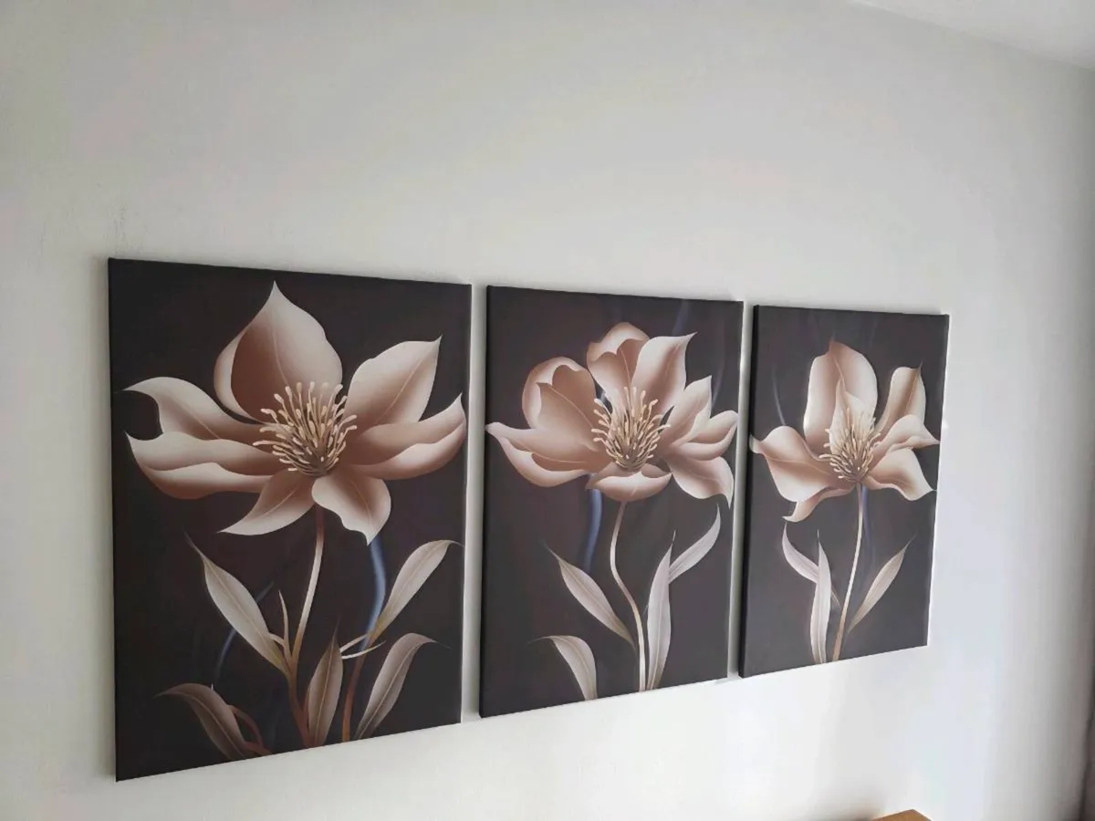3 canvas 46x66cm each - Image 4
