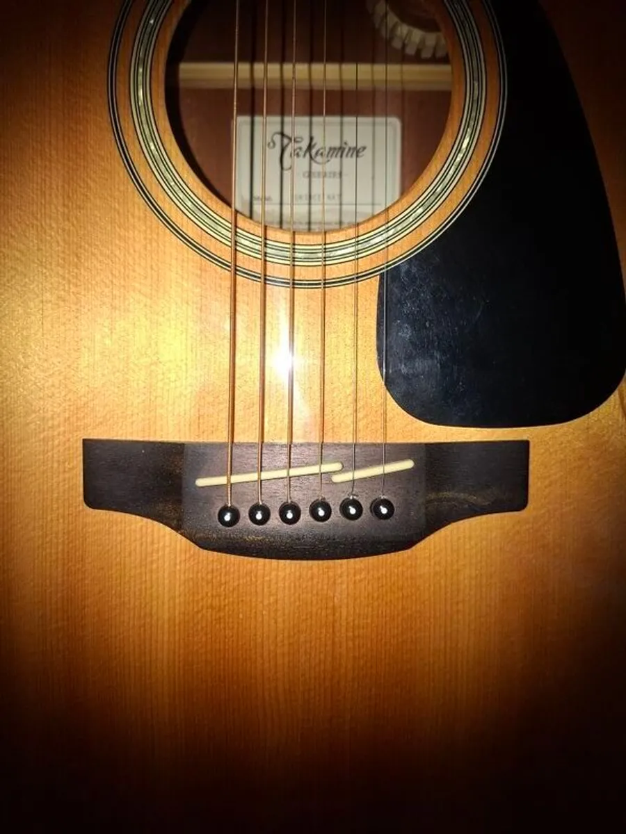 takamine - Image 3