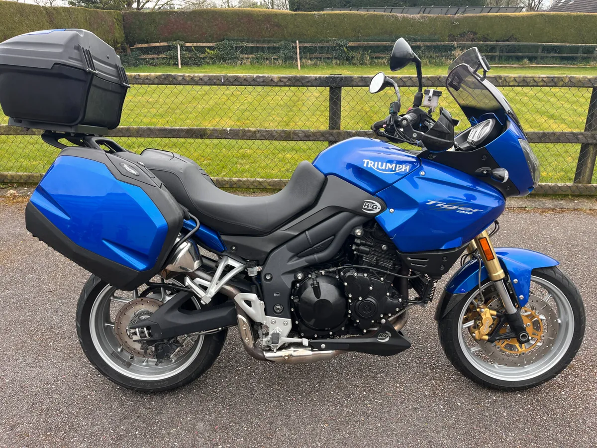 2008 Triumph 1050 Tiger - Image 1