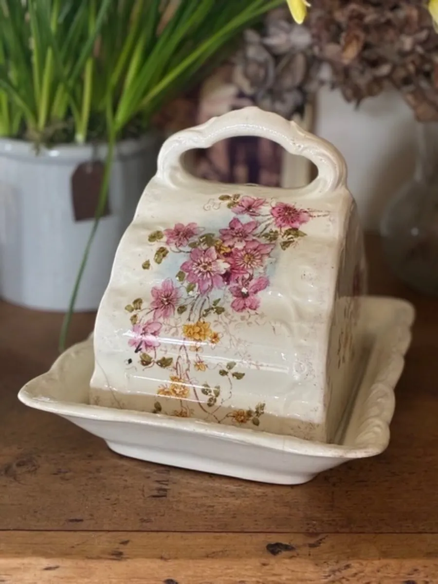 Antique Wessel Cheese Dish - Image 1