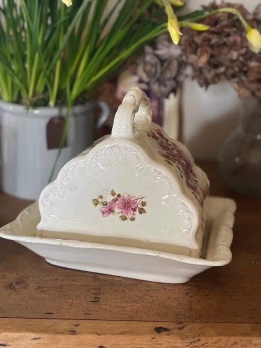 Antique Wessel Cheese Dish - Image 3