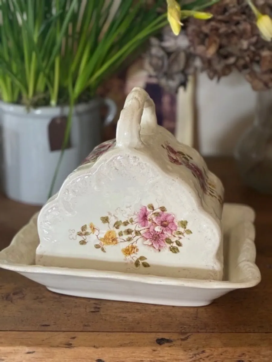 Antique Wessel Cheese Dish - Image 4