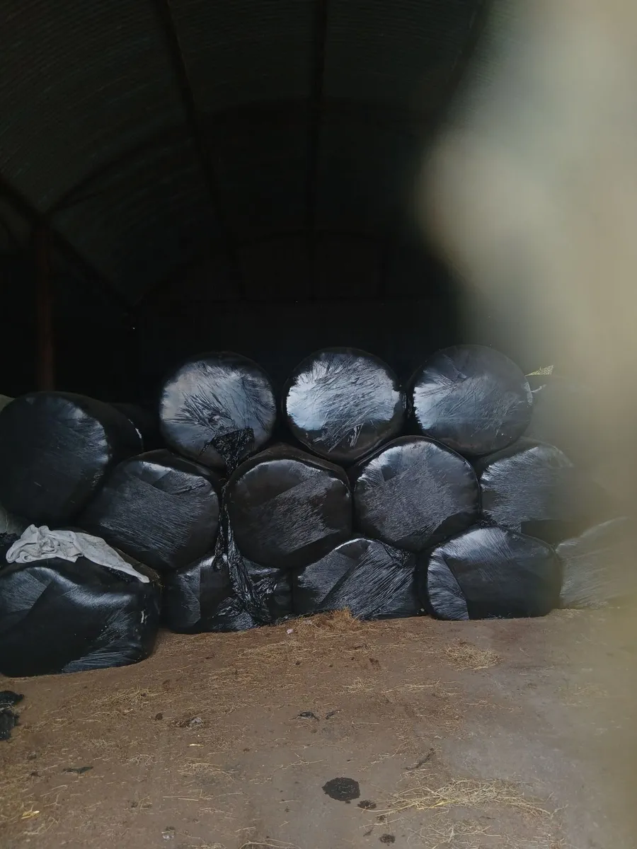 Silage - Image 2