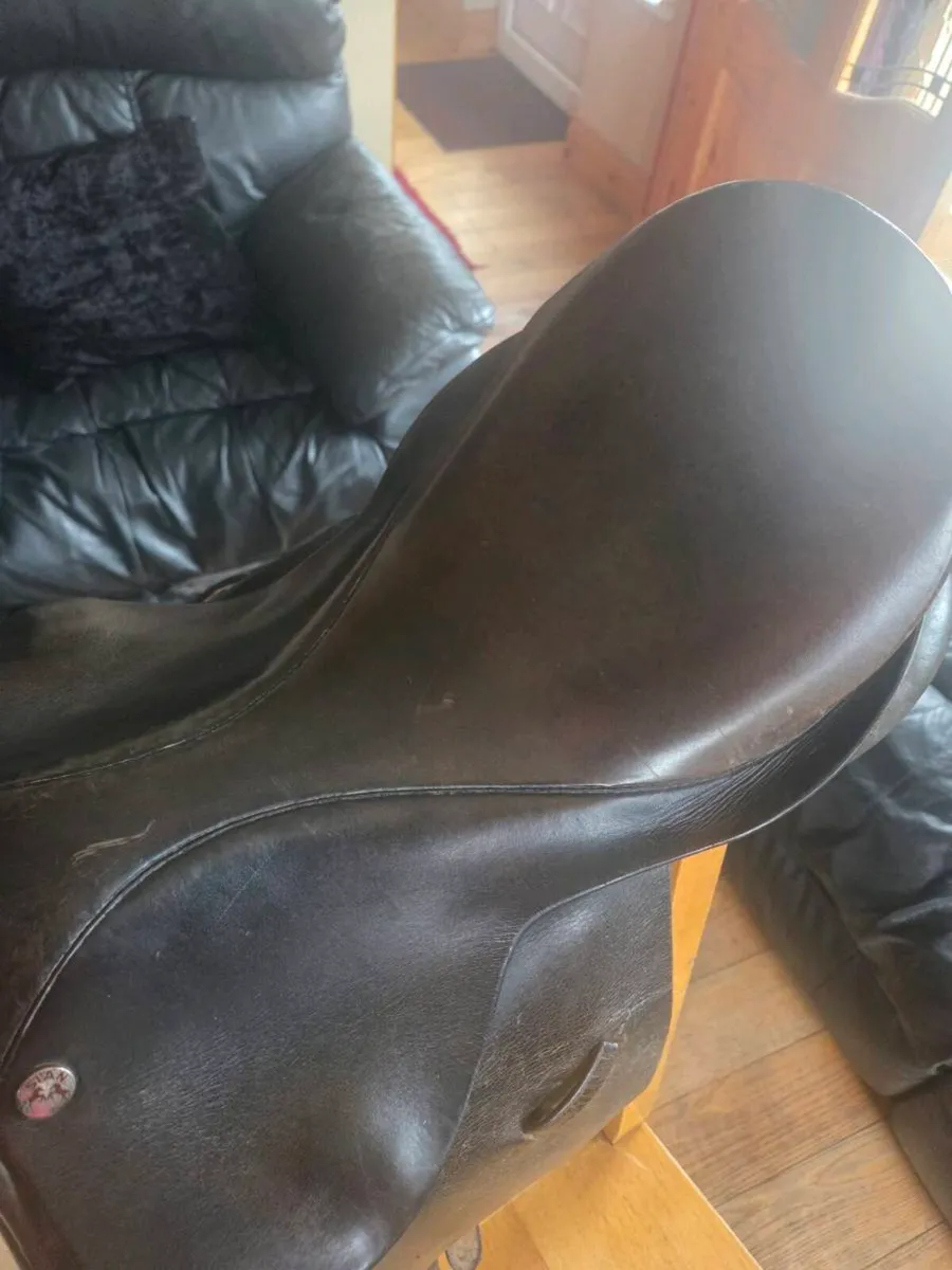Saddle - Image 2