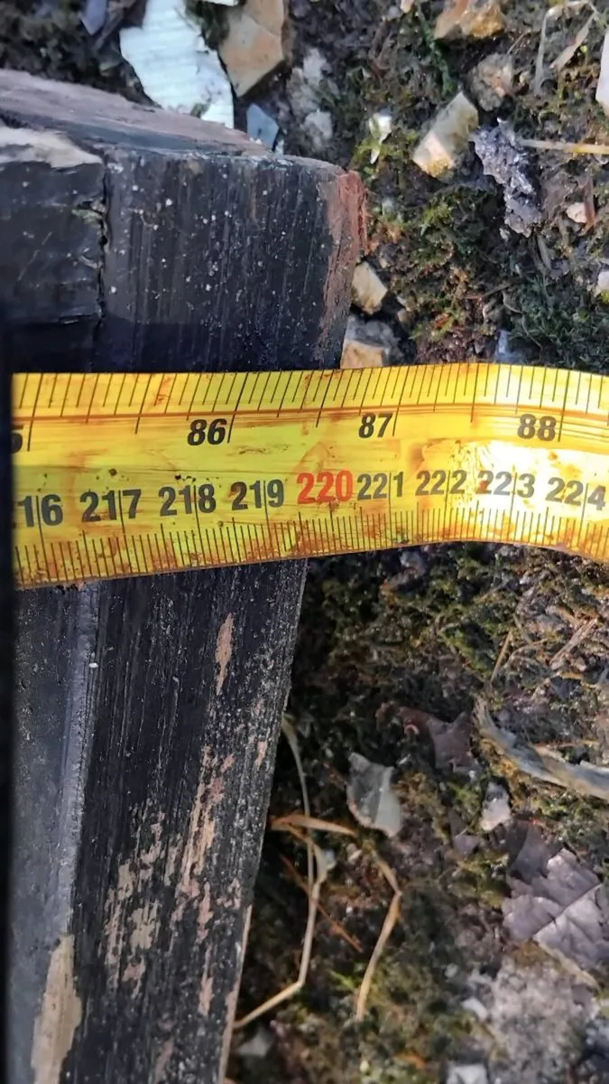 Solid door - Image 2