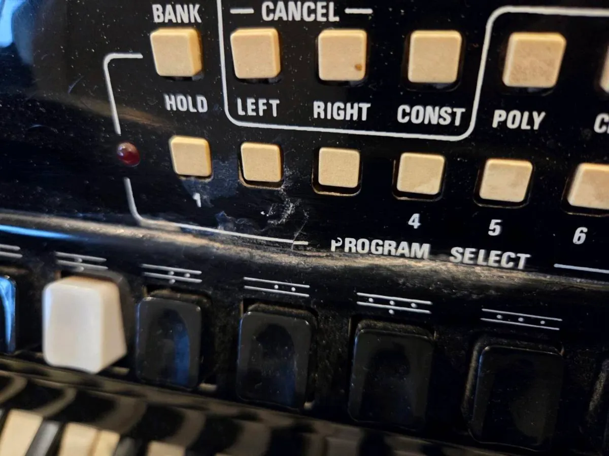 Piano accordian - Image 3