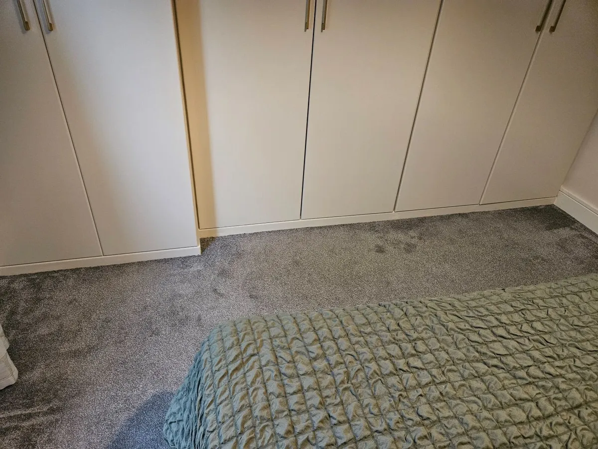 Carpet - Image 1