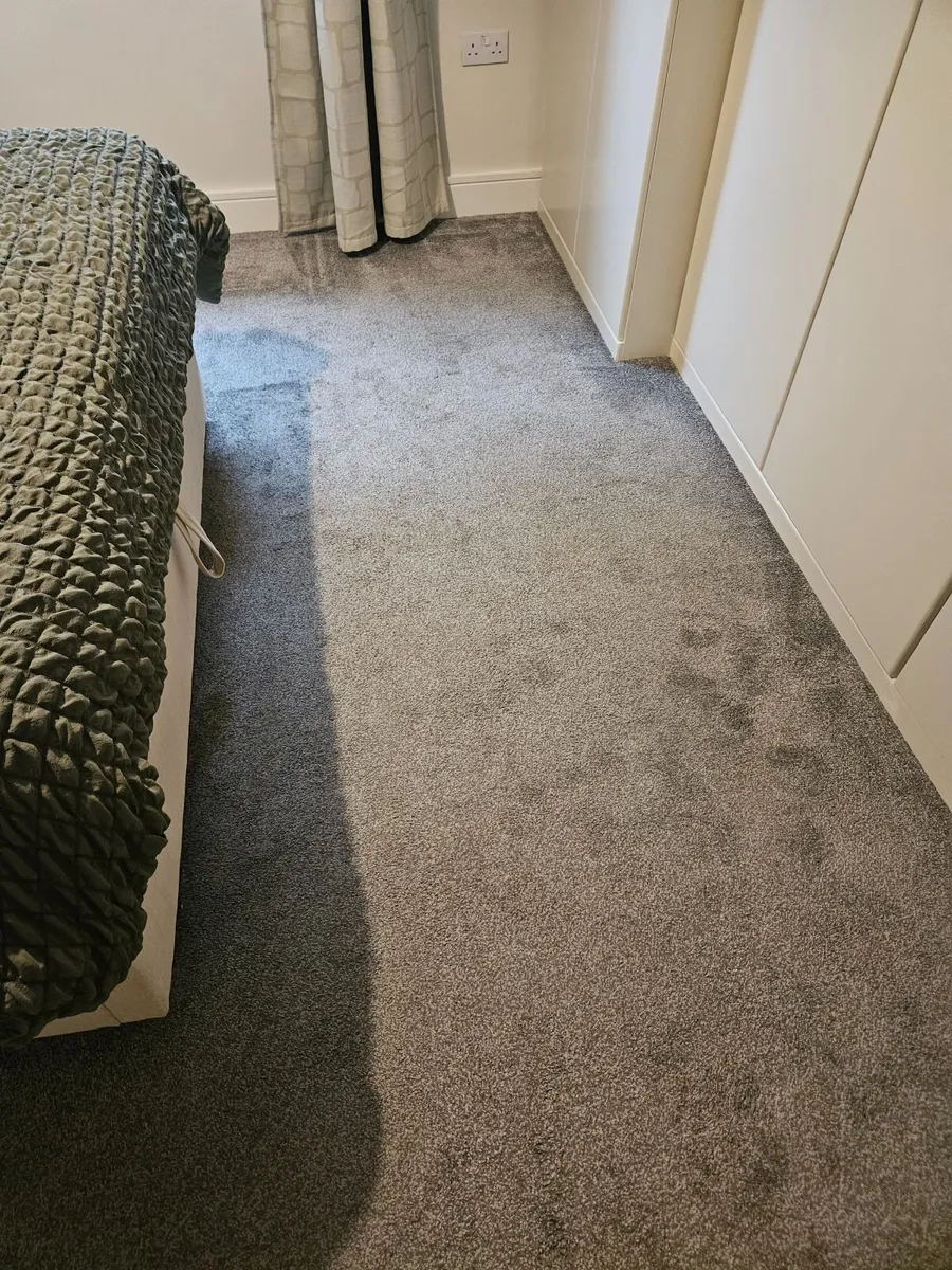 Carpet - Image 3