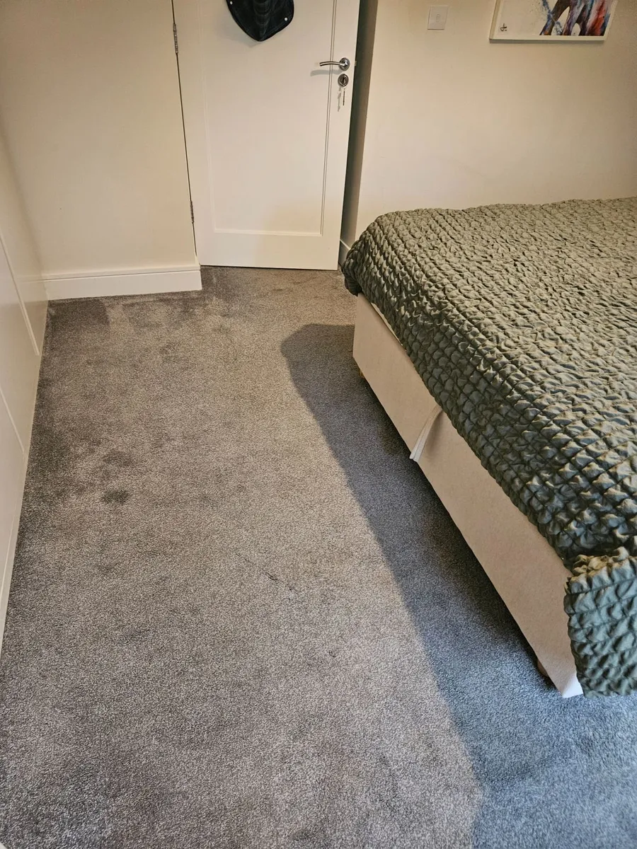 Carpet - Image 4