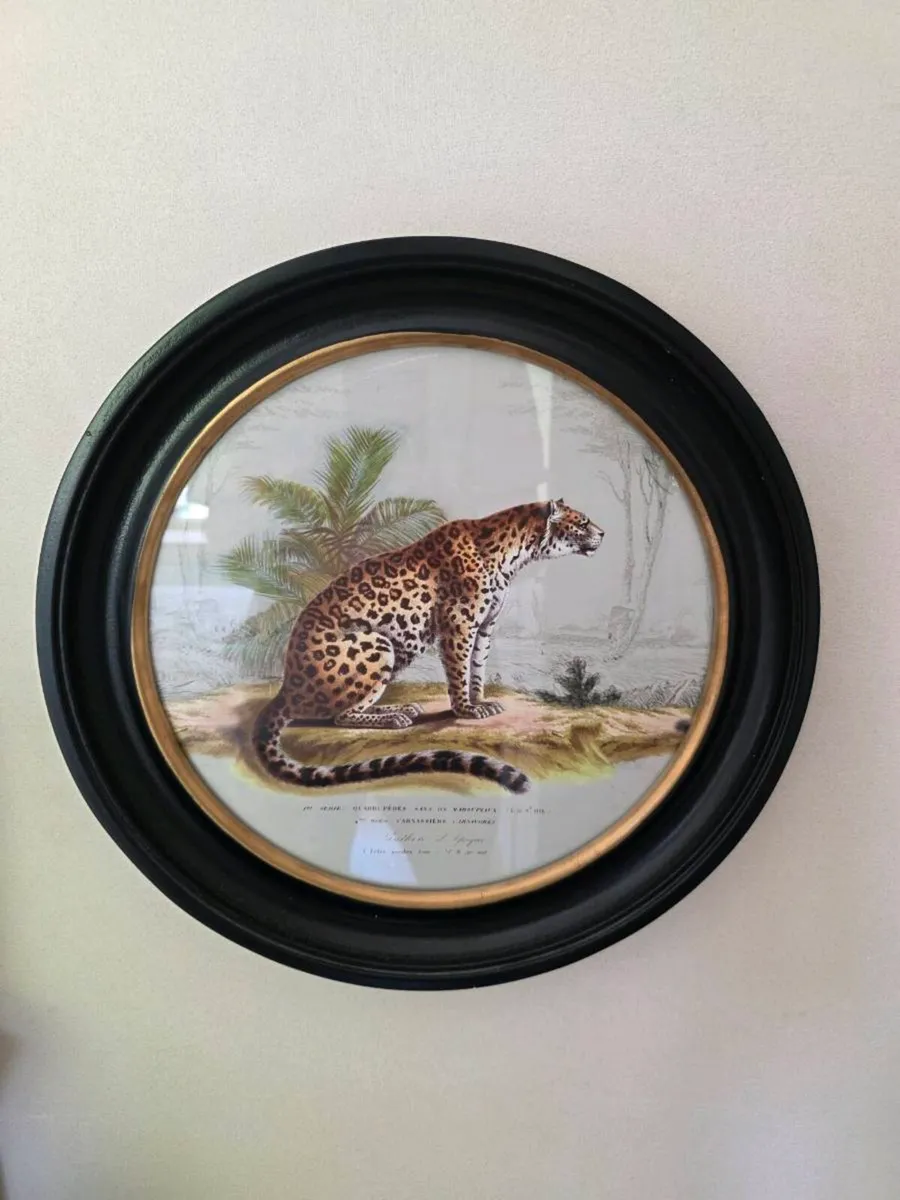 Framed Print - Image 1