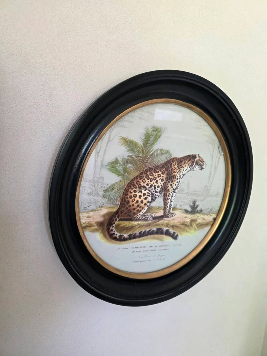 Framed Print - Image 2