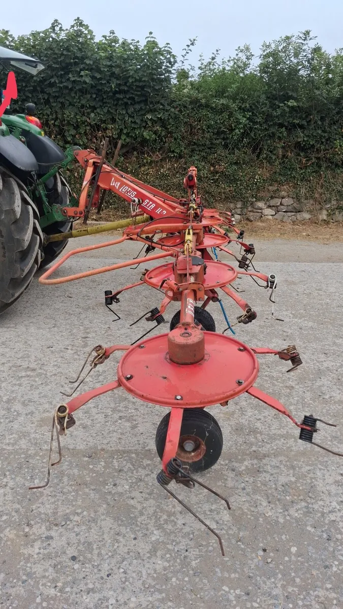 Lely lotus - Image 3
