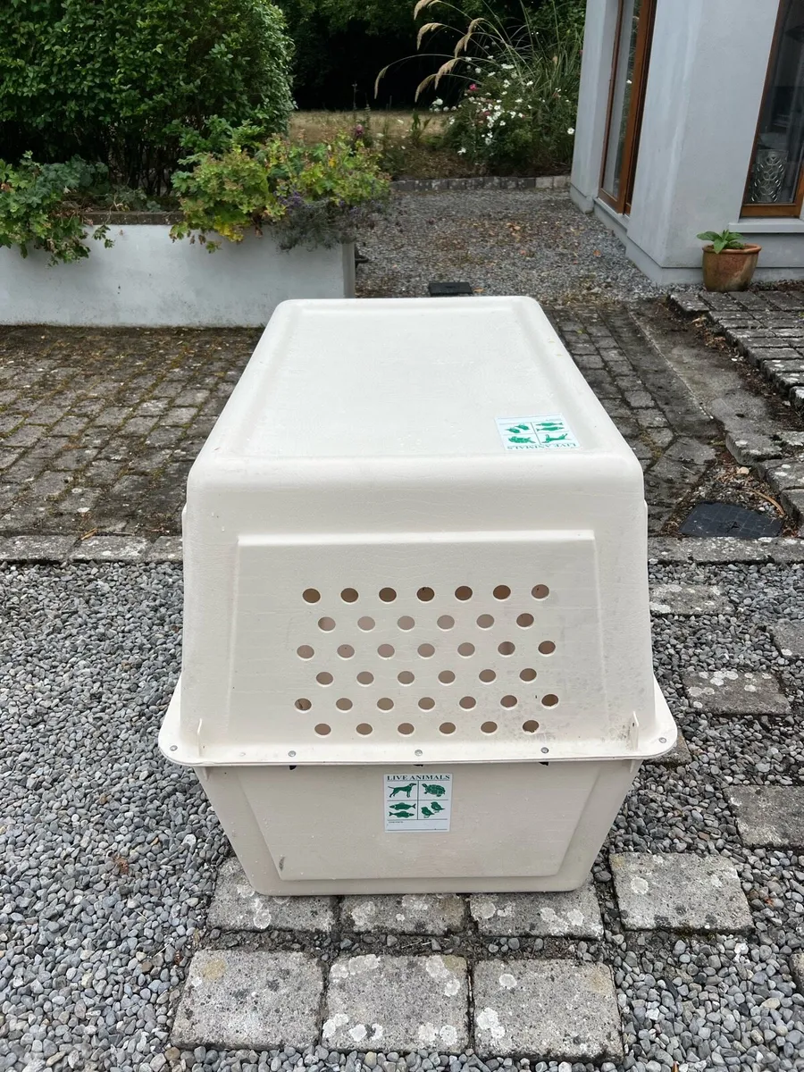 Large Dog Kennel for Traveling - Image 4